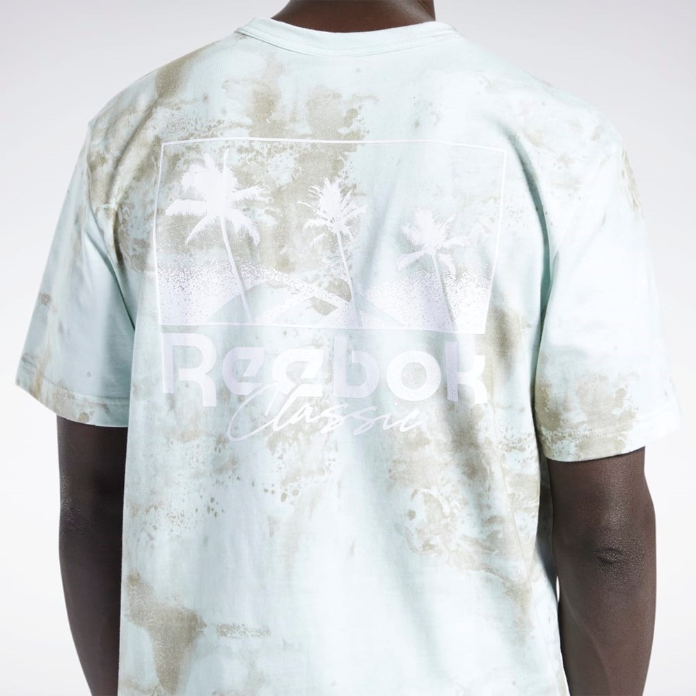 Reebok Classics Allover Print Grafice T-Shirt Albastru Deschis | 3407951-ET