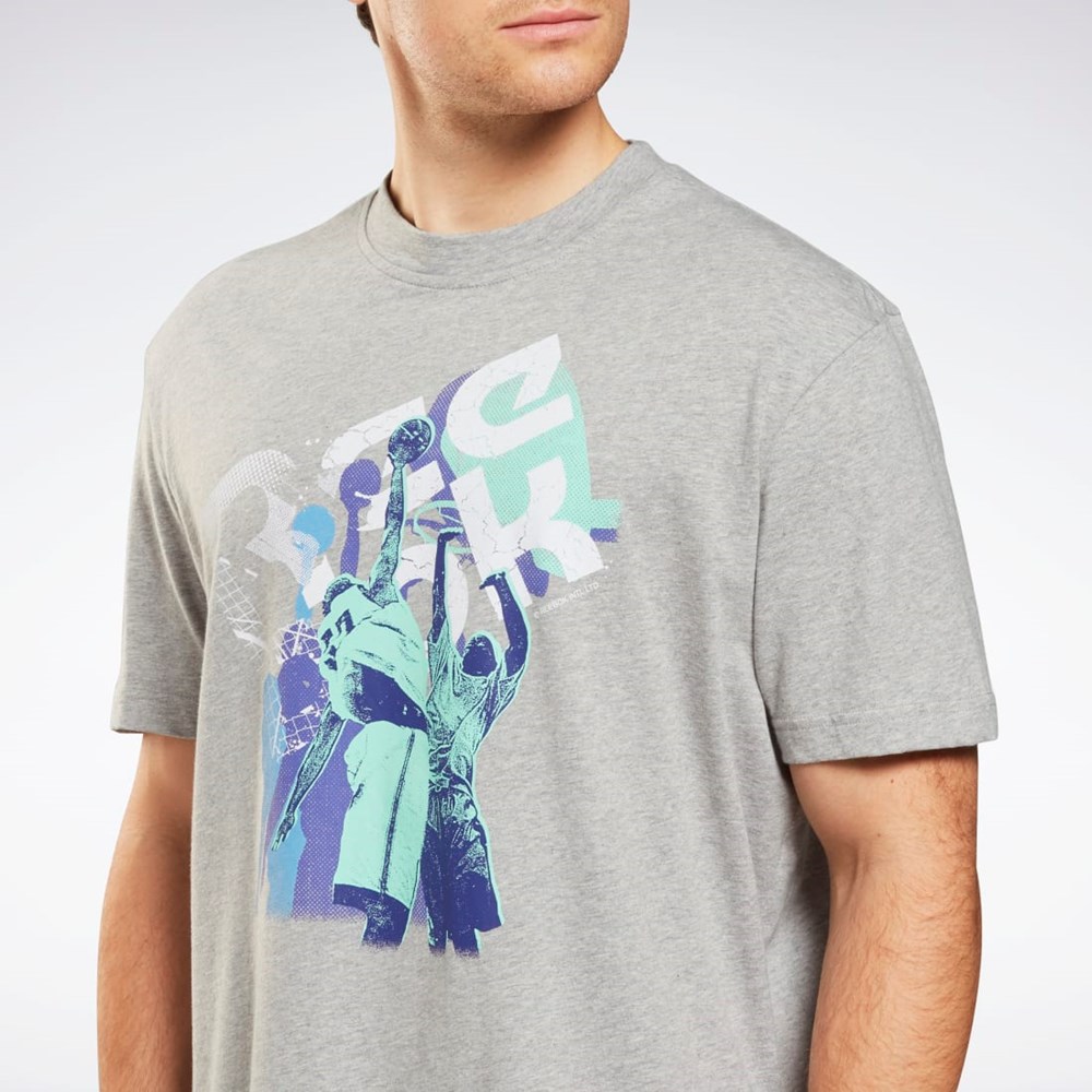 Reebok Grafice Series T-Shirt Gri | 1789536-TY