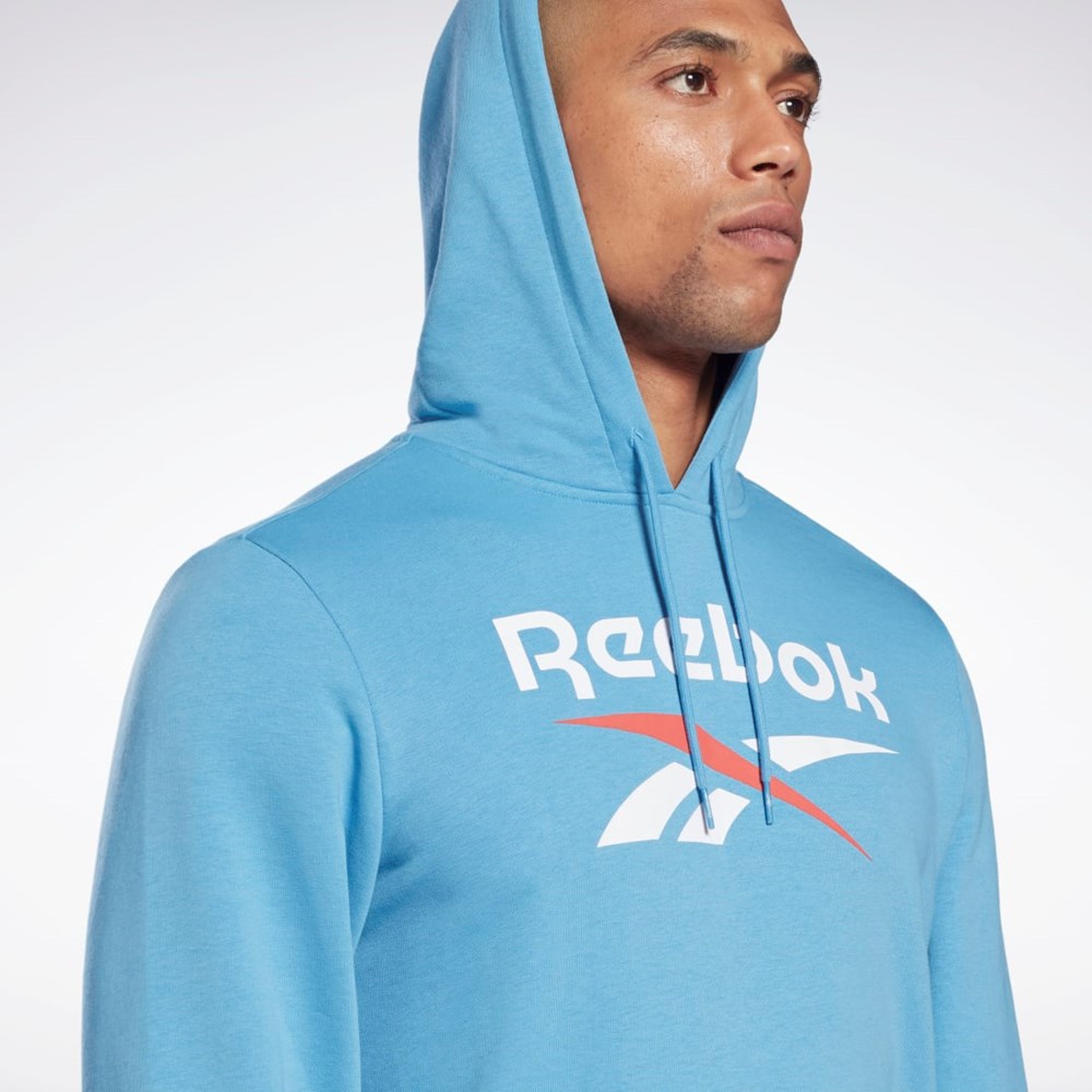 Reebok Reebok Identity Big Logo Hoodie Albastri | 7694538-TH