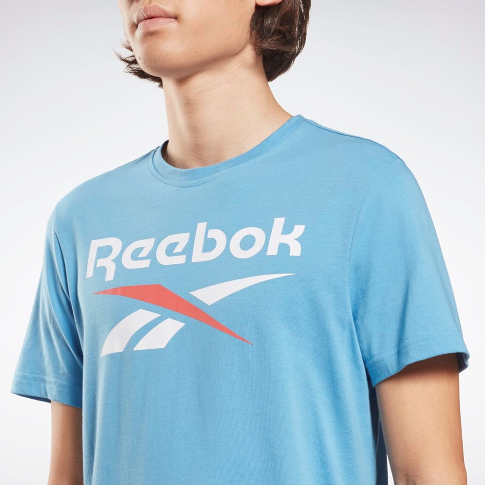Reebok Reebok Identity Big Logo T-Shirt Albastri | 3081267-HK