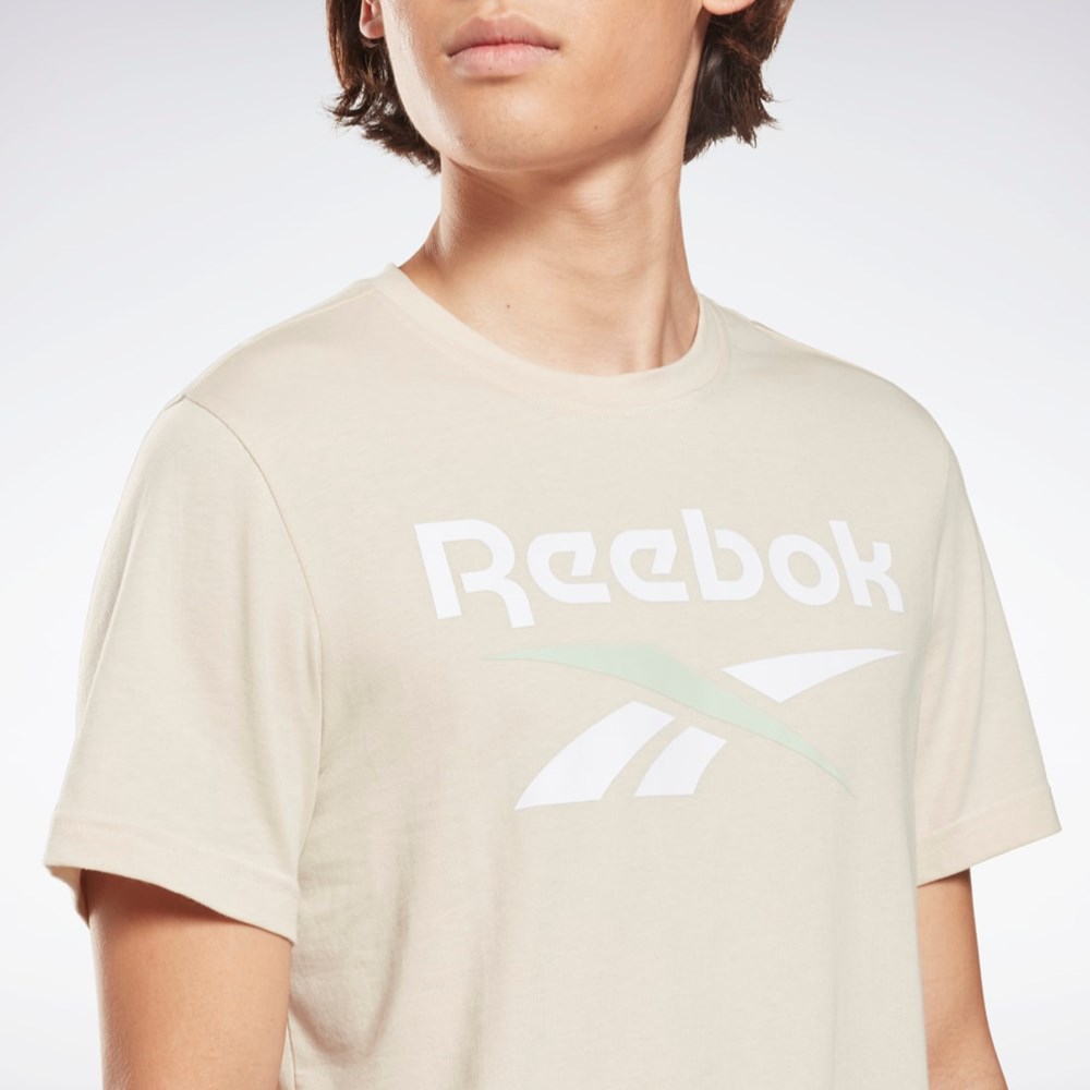 Reebok Reebok Identity Big Logo T-Shirt Stucco | 4580937-GK