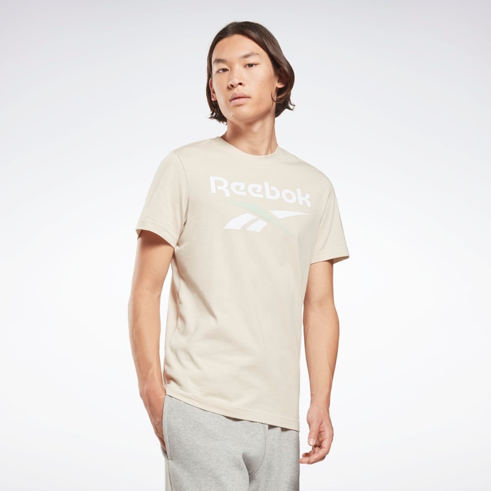 Reebok Reebok Identity Big Logo T-Shirt Stucco | 4580937-GK