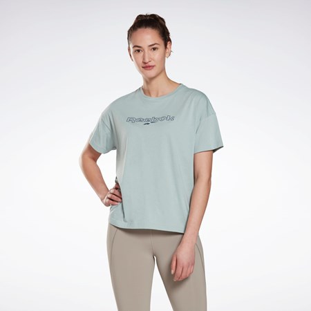 Reebok Brand T-Shirt Gri | 9748206-NE