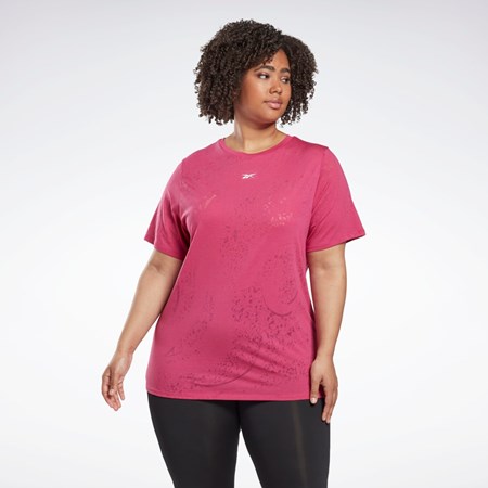 Reebok Burnout T-Shirt (Plus Size) Roz | 4915682-KZ