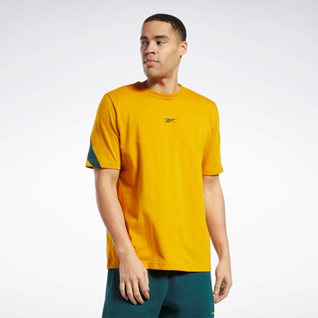 Reebok Classics Brand Proud T-Shirt Bright Ochre | 4169253-DM