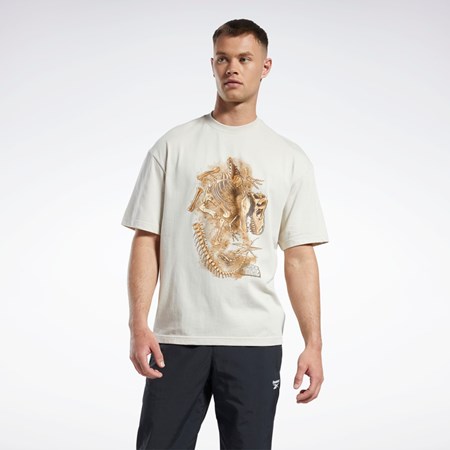 Reebok Jurassic World Fossil T-Shirt Stucco | 2097645-YR