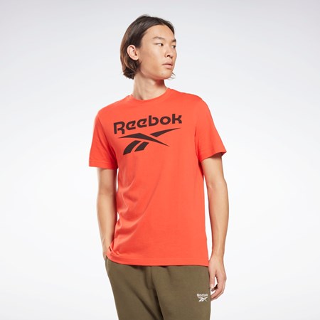 Reebok Reebok Identity Big Logo T-Shirt Rosii | 1345860-FL