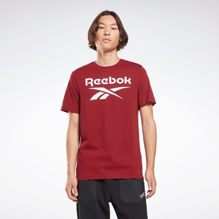 Reebok Reebok Identity Big Logo T-Shirt Visinii | 1390875-RH