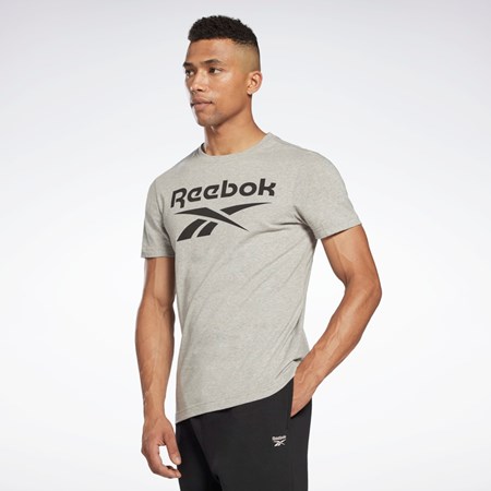 Reebok Reebok Identity Big Logo T-Shirt Gri | 2036941-QB
