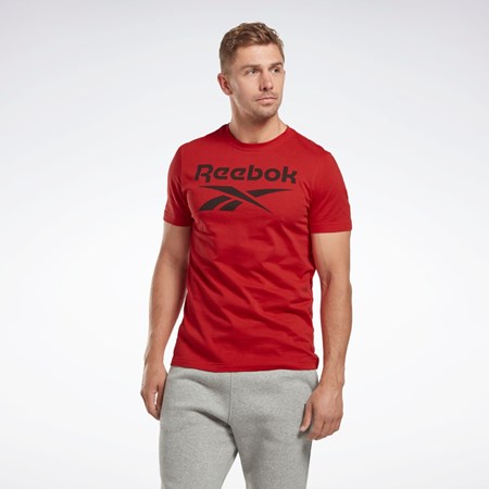 Reebok Reebok Identity Big Logo T-Shirt Rosii | 2173584-FL