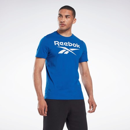 Reebok Reebok Identity Big Logo T-Shirt Albastri | 5162037-PZ