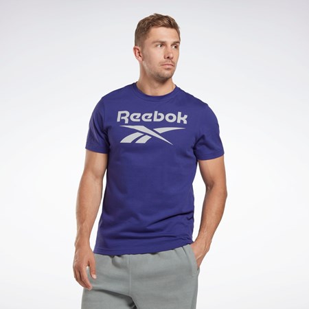 Reebok Reebok Identity Big Logo T-Shirt Violet | 8649203-ZW