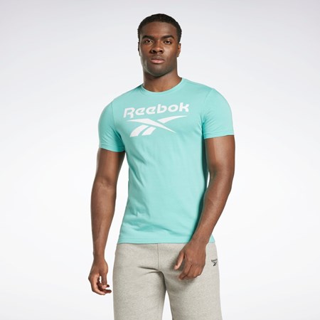 Reebok Reebok Identity Big Logo T-Shirt Semi Classic Teal | 9163482-KH