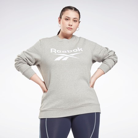Reebok Reebok Identity Logo Fleece Crew Sweatshirt (Plus Size) Gri | 3069457-WV