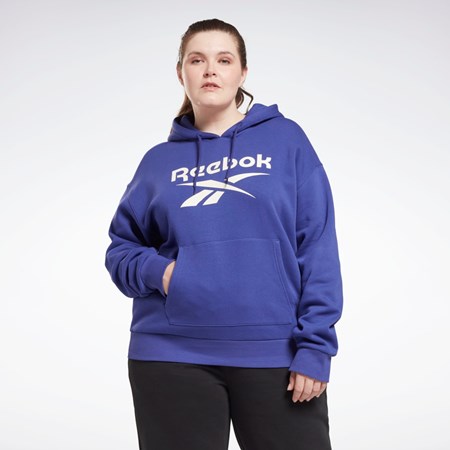 Reebok Reebok Identity Logo Fleece Pullover Hoodie (Plus Size) Violet | 6923871-TR