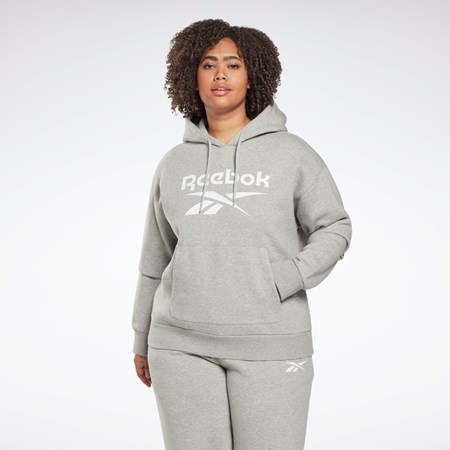 Reebok Reebok Identity Logo Fleece Pullover Hoodie (Plus Size) Gri | 7029863-RU
